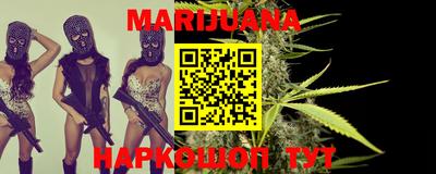 spice Новодвинск