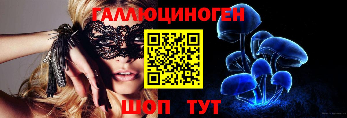 Псилоцибиновые грибы GOLDEN TEACHER  Вход с VPN  наркотики  Семёнов 